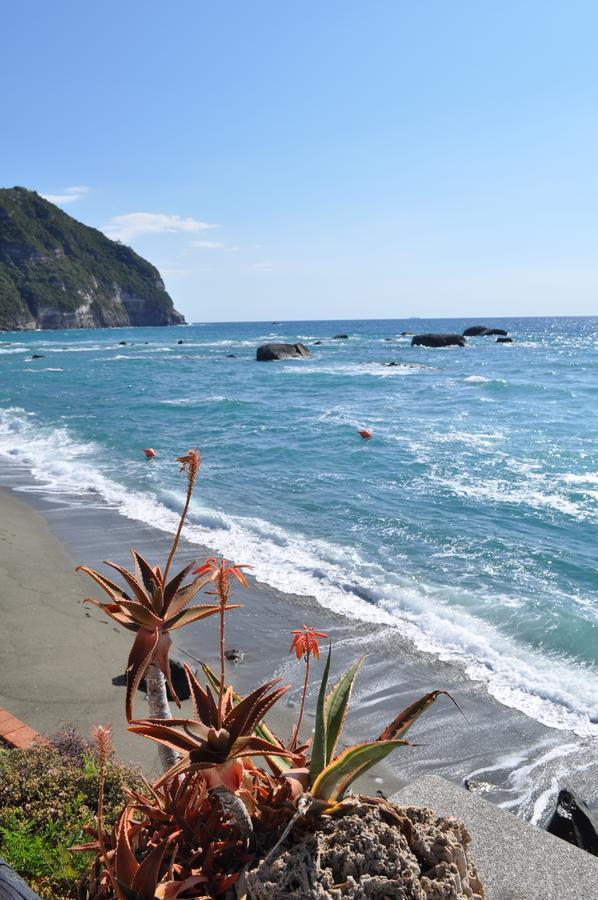 Bed and Breakfast La Citarea Forio di Ischia Exterior foto