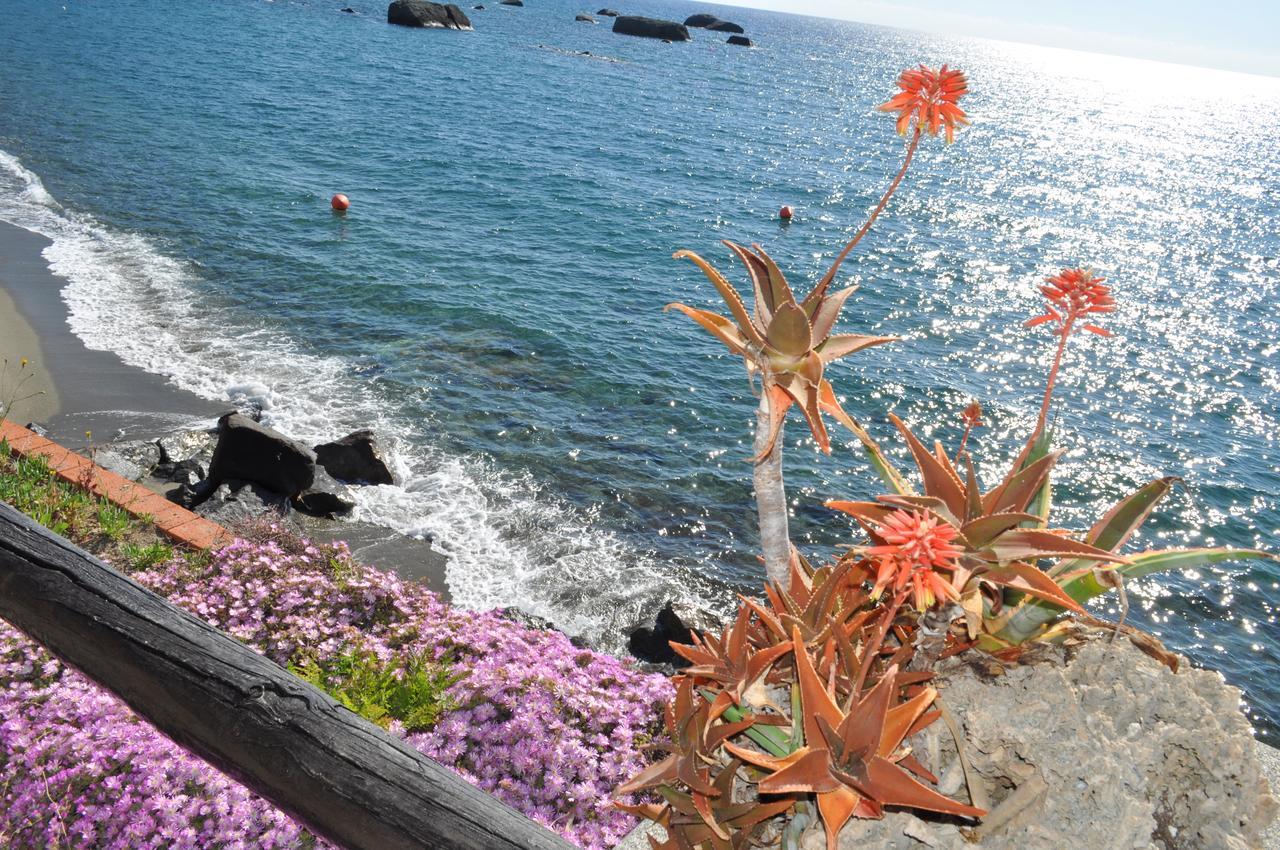 Bed and Breakfast La Citarea Forio di Ischia Exterior foto